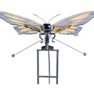 60" H Jumbo Kinetic Monarch Butterfly